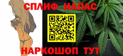 шишки Тулун