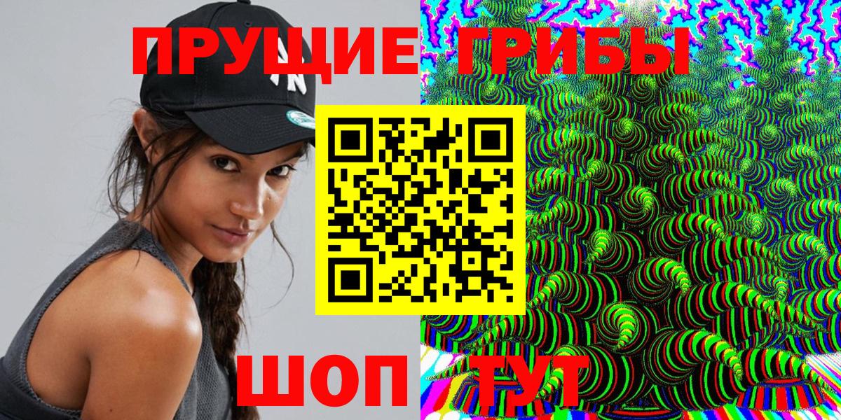 Псилоцибиновые грибы прущие грибы  Вход с VPN  Пугачёв 
